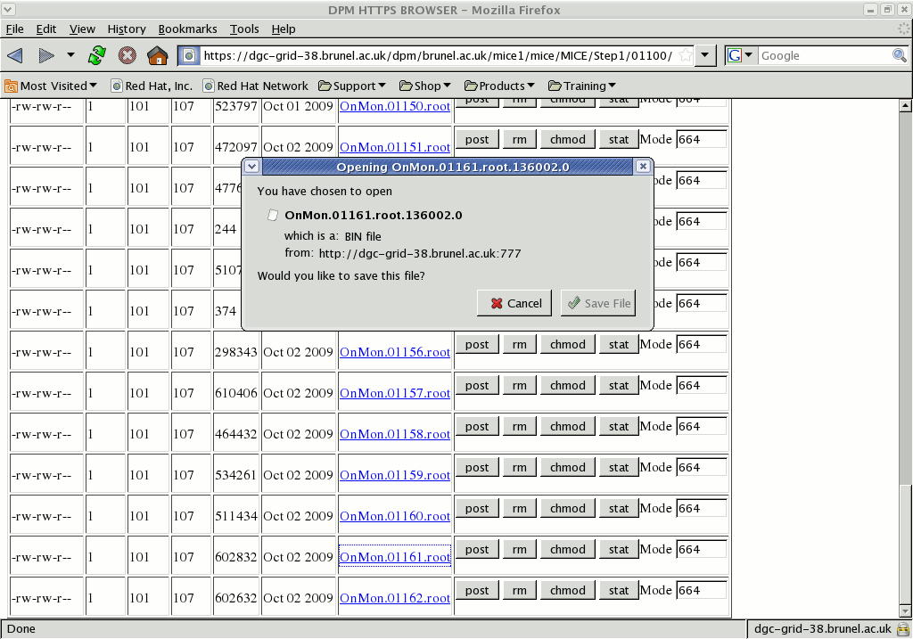 DPM web interface for MICE: start download